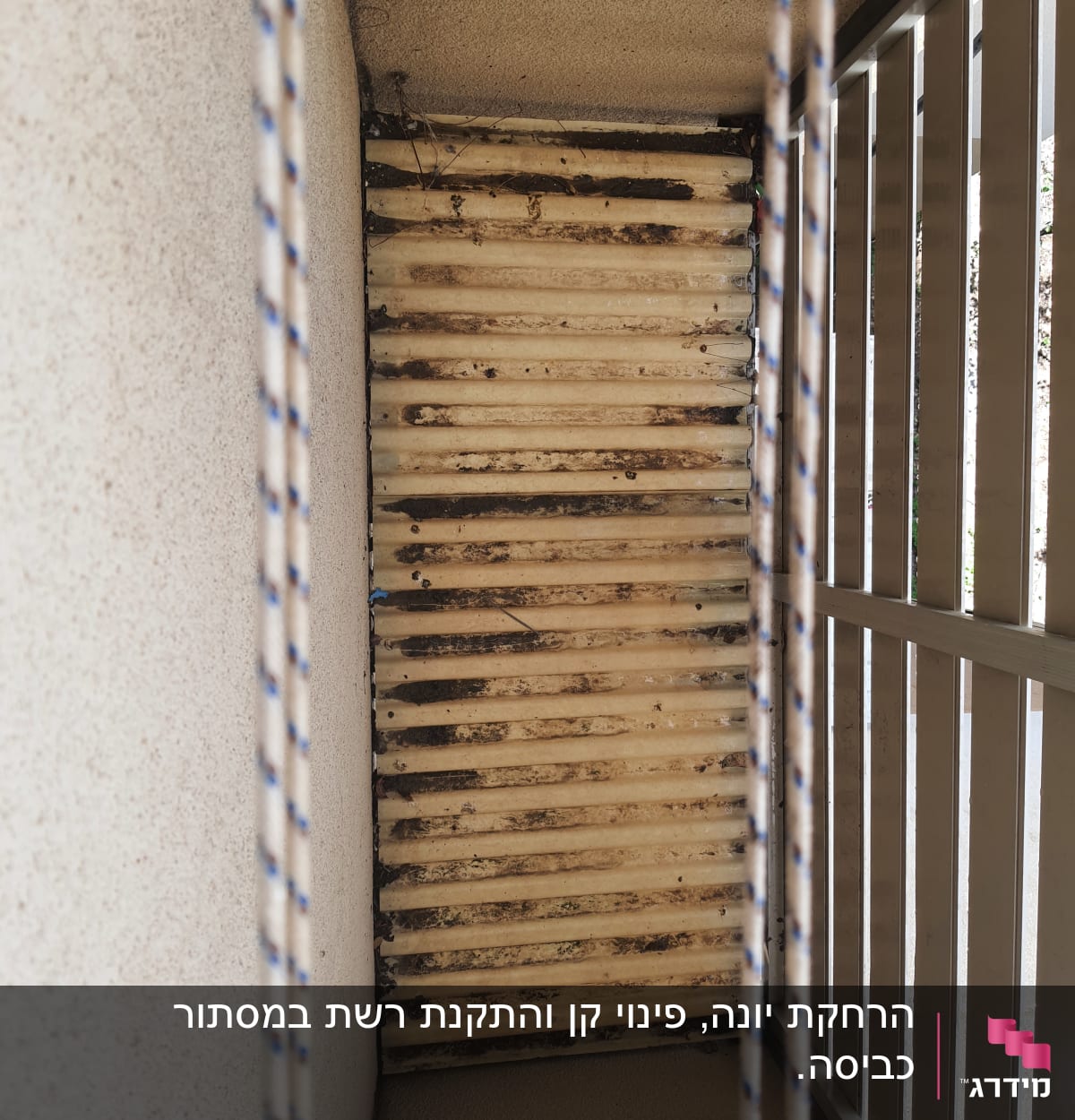 תקרה מלוכלכת עם סימני לשלשת יונים